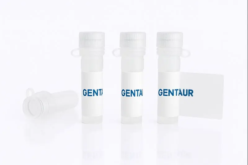 BDNF, Mouse (R129A, R130A, HEK293, C-His)