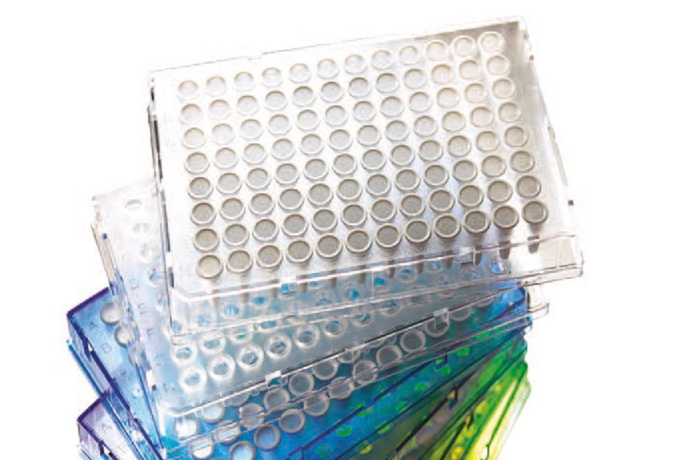 Armadillo 96-Well PCR Plate, Clear Frame, Clear Wells - 25 Plates