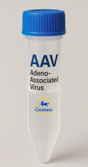 BC051070 AAV Vector (Mouse) (CMV)