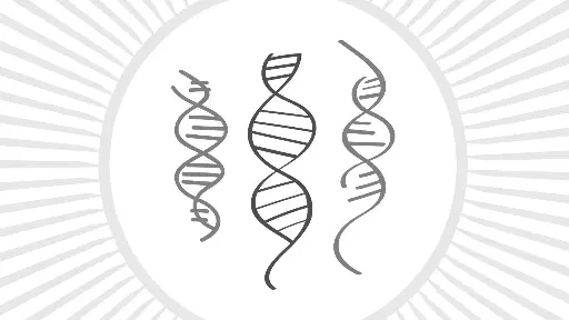 [11831ES60] Hifair™ Lyo Multiplex One Step RT-qPCR Kit - 100 Tests