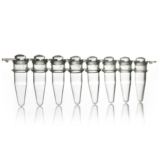 [SK-TP402] AmpliStar 8-Strip 0.2ml PCR Tubes and Domed Caps - 125 strips